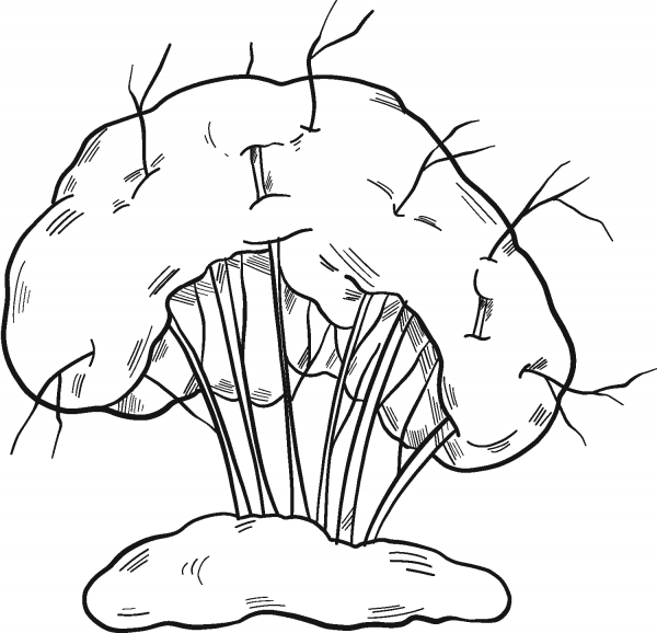 Winter Tree coloring page image