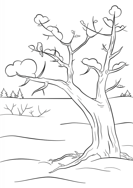 Winter Tree coloring page image