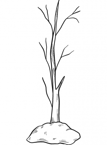 Winter Tree coloring page image