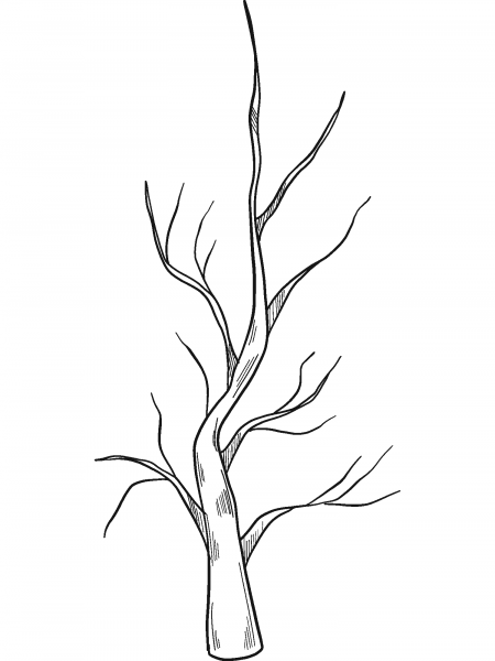 Winter Tree coloring page image