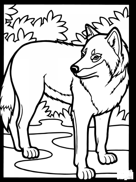 Wolf coloring page image