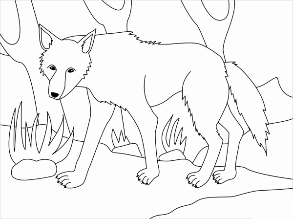 Wolf coloring page image