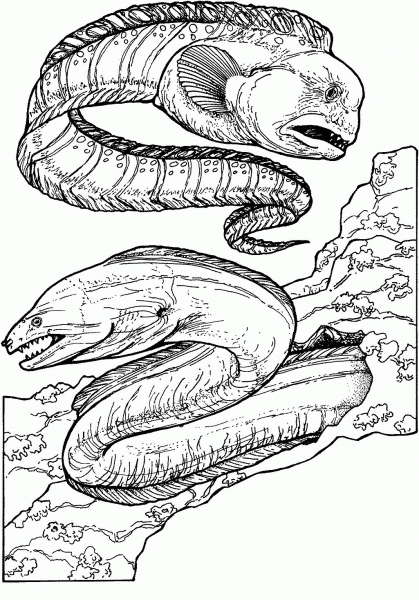 Wolf Eel and Green Moray Eel coloring page image
