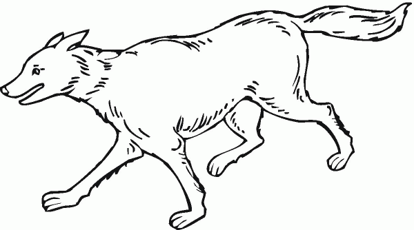 Wolf Is running coloring page image