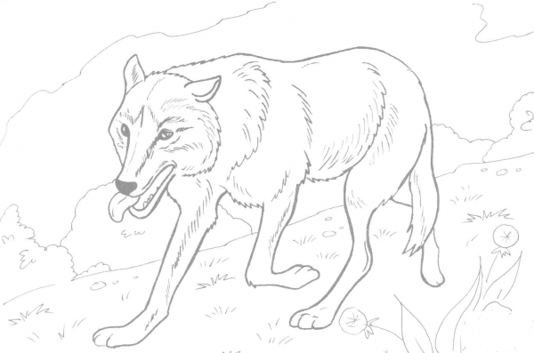 Wolf running in the Forest coloring page image