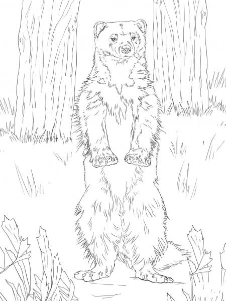 Wolverine Standing Up coloring page image