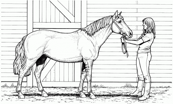 Woman and Mare Horse coloring page image
