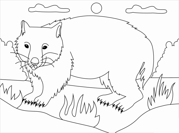 Wombat coloring page image