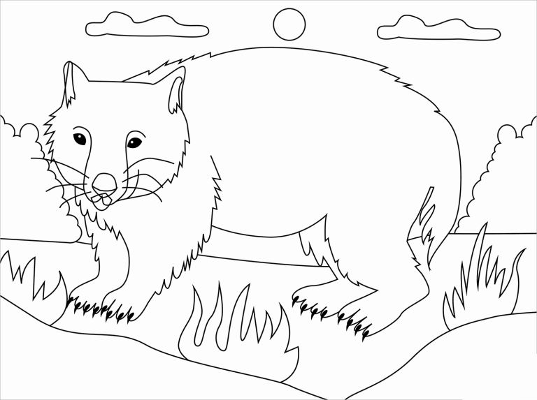 Wombat coloring page - ColouringPages