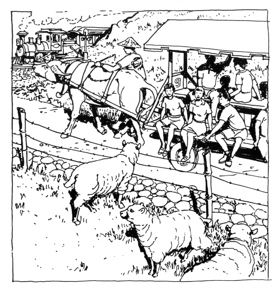 Wonder World Park 7 coloring page image