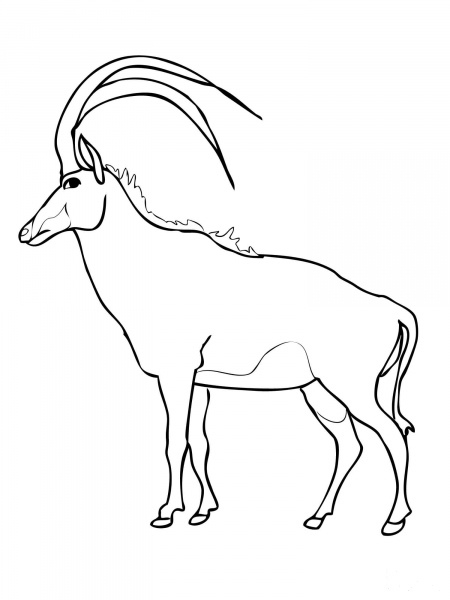 Wooded Savannah Sable Antelope coloring page image
