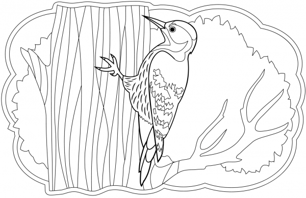 Woodpecker coloring page image