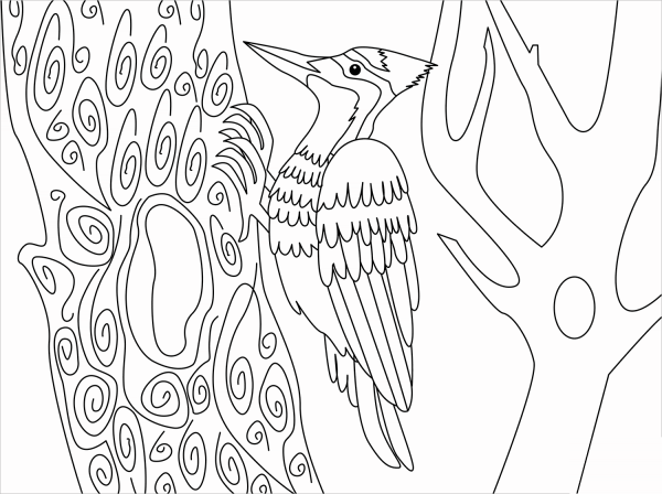 Woodpecker coloring page image