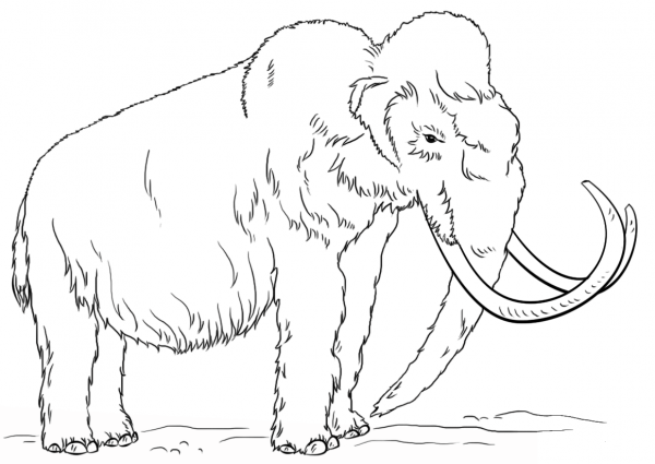 Woolly Mammoth coloring page image