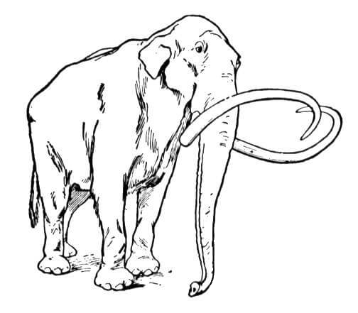 Wooly Mammoth coloring page image