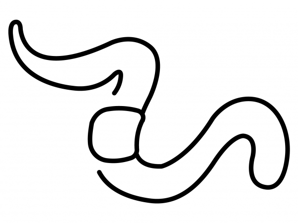 Worm Emoji coloring page image