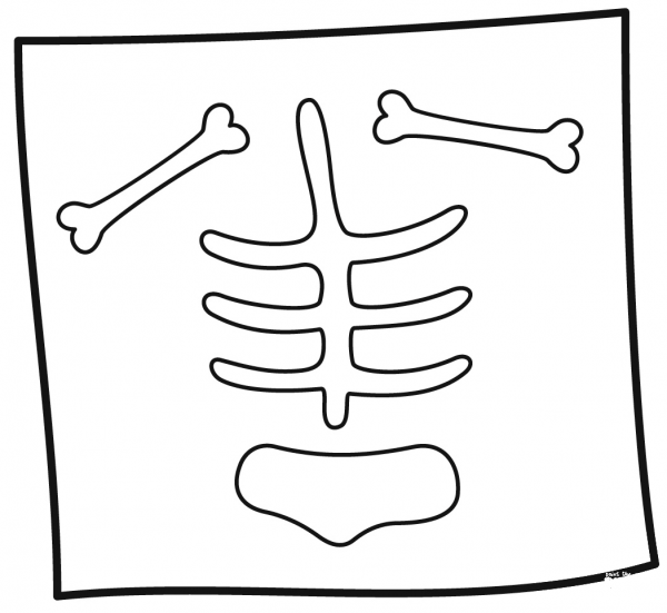 X Ray coloring page image