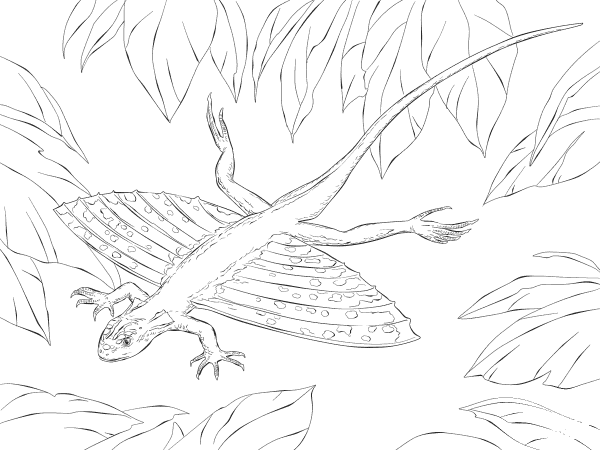 Xianglong Flying Dragons coloring page image