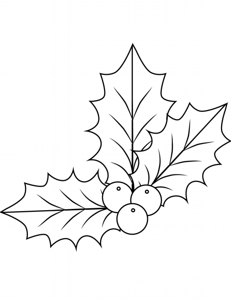 Xmas Holly coloring page image