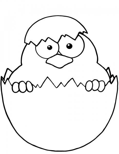 Yellow Chick Peeking Out of an Egg Shell coloring page image