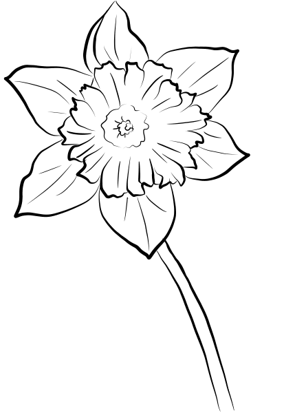 Yellow Daffodil coloring page image