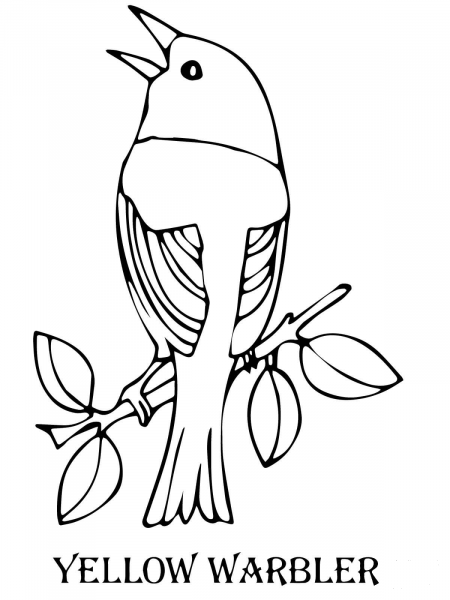 Yellow Warbler Bird coloring page image