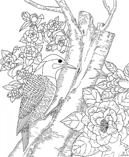 Yellowhammer and Camellia Alabama State Bird and Flower coloring page image