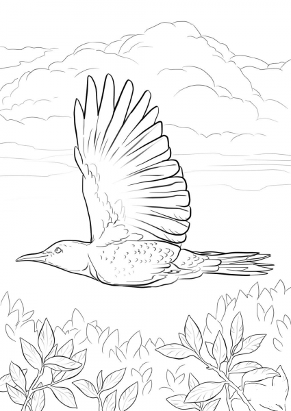 Yellowhammer Flying coloring page image