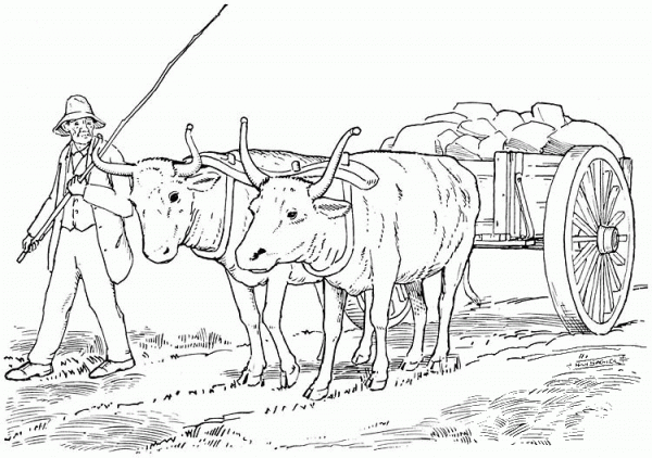 Yoked Oxen Pulling Cart coloring page image