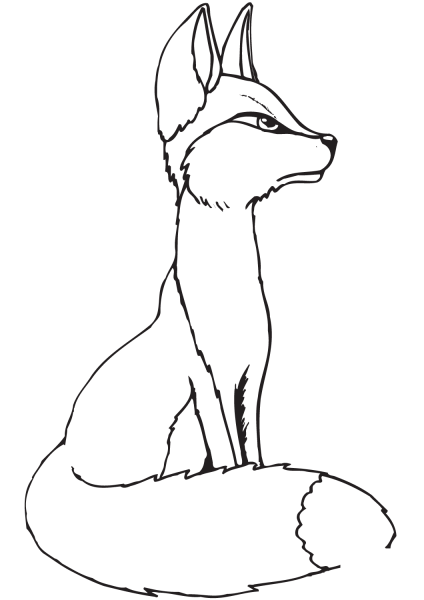 Young Red Fox coloring page image