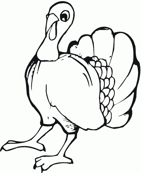 Young Turkey coloring page image