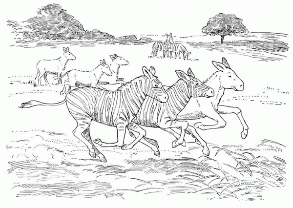 Zebra and the Horses Run Together coloring page image
