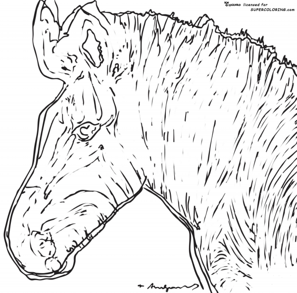 Zebra By Andy Warhol  coloring page image