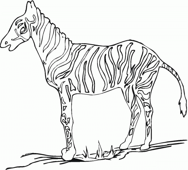 Zebra coloring page image