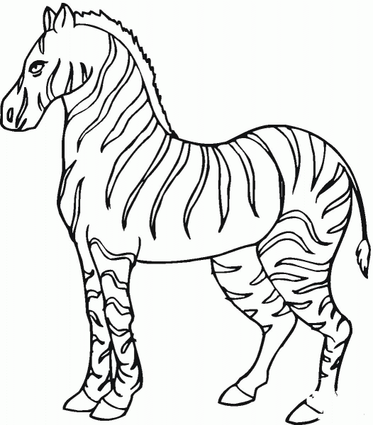 Zebra coloring page image