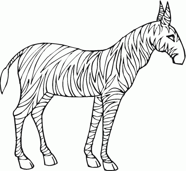 Zebra coloring page image