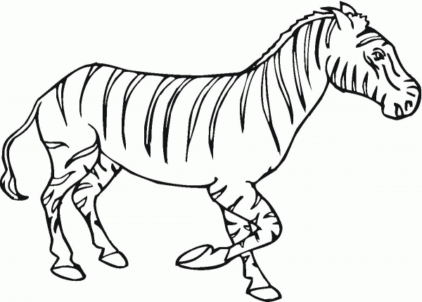 Zebra coloring page image