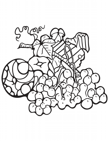 Zentangle Apple and Grape coloring page image
