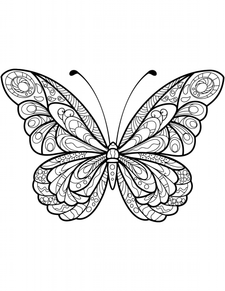 Zentangle Butterfly coloring page image