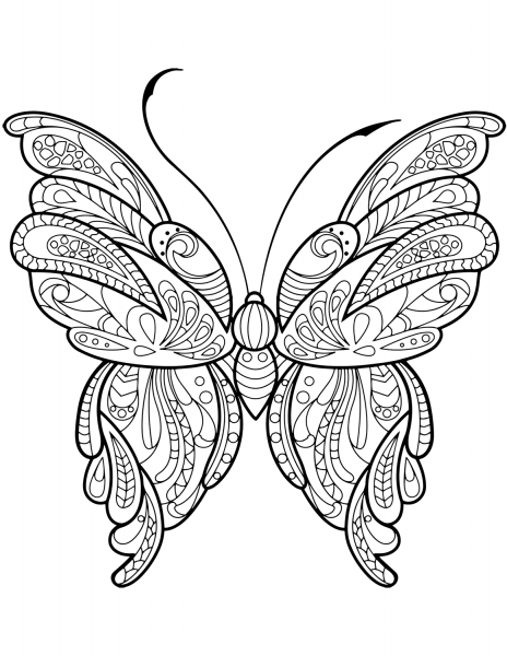 Zentangle Butterfly coloring page image