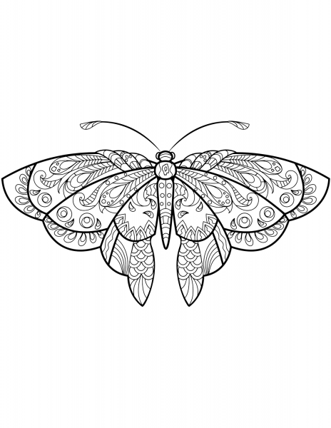 Zentangle Butterfly coloring page image