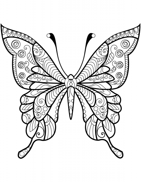 Zentangle Butterfly coloring page image