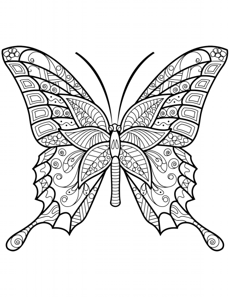 Zentangle Butterfly coloring page image