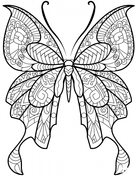 Zentangle Butterfly coloring page image
