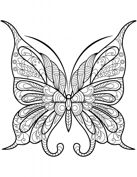 Zentangle Butterfly coloring page image