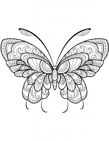 Zentangle Butterfly coloring page image