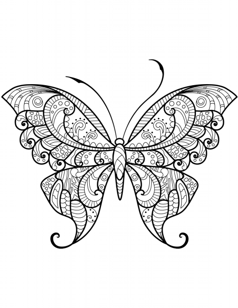 Zentangle Butterfly coloring page image
