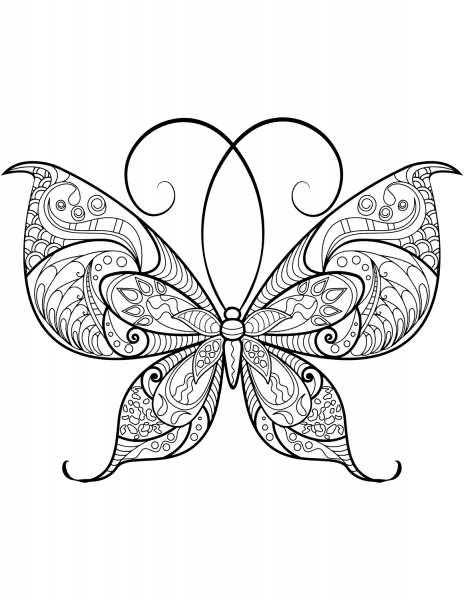 Zentangle Butterfly coloring page image