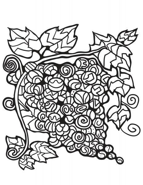 Zentangle Grape coloring page image