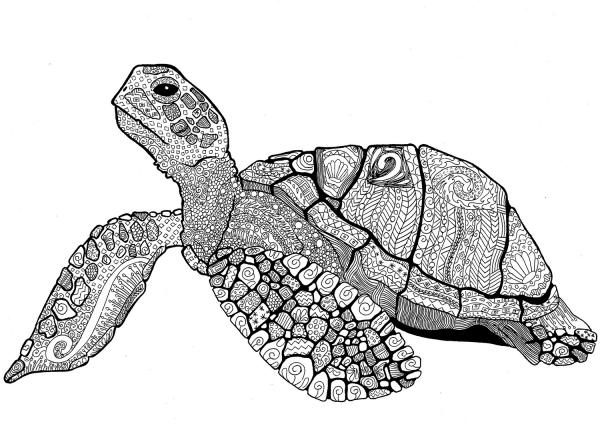 Zentangle Turtle coloring page image